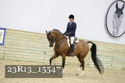 23R13_15547 proof