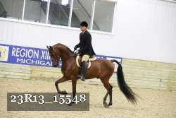 23R13_15548 proof