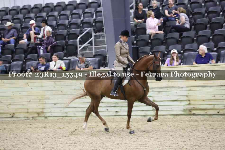 Proof 23R13_15549