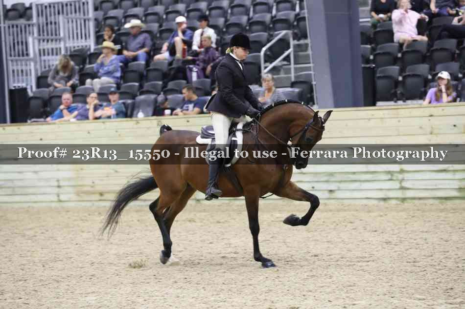 Proof 23R13_15550