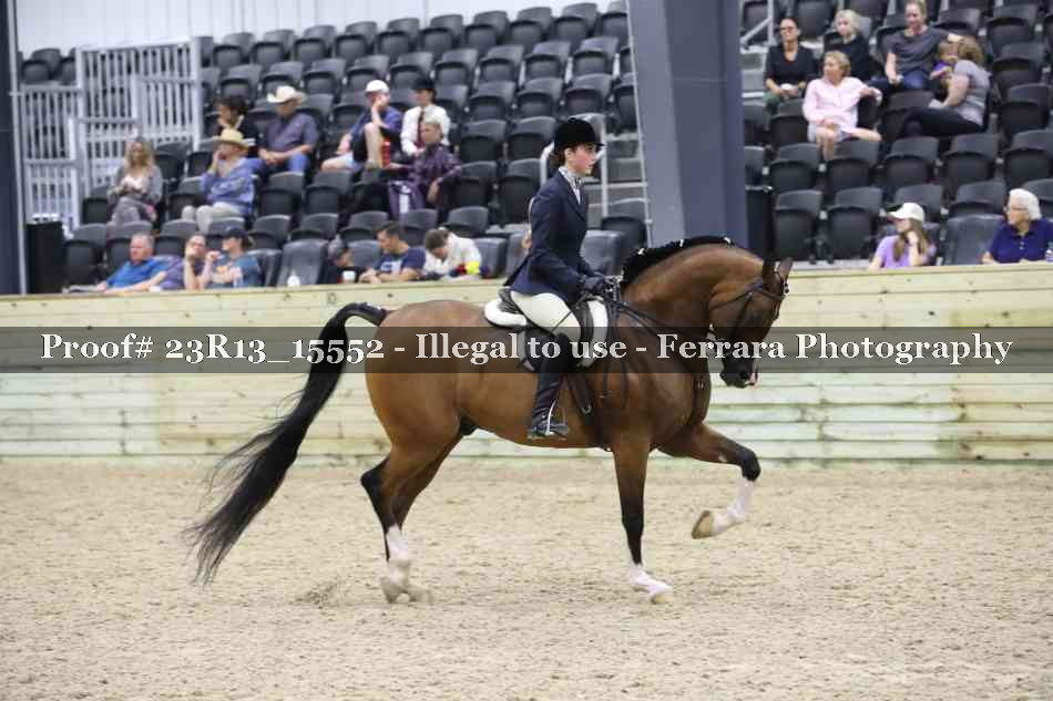 Proof 23R13_15552