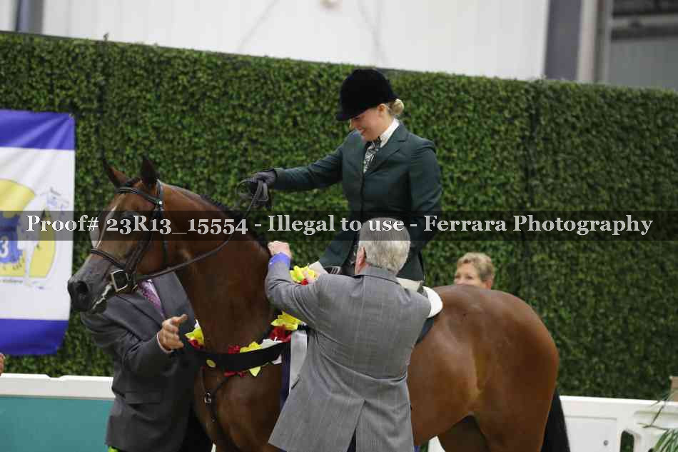 Proof 23R13_15554