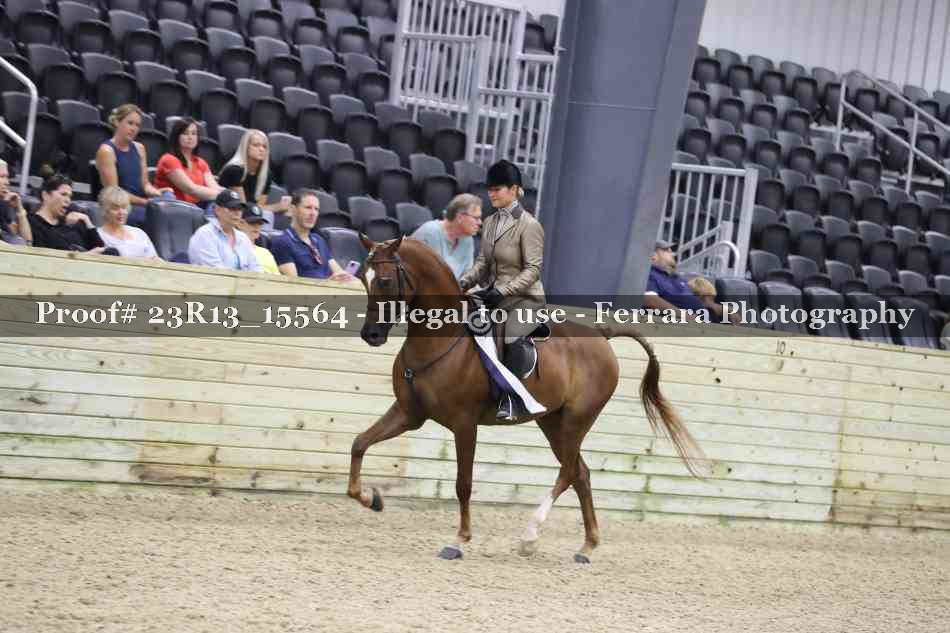 Proof 23R13_15564