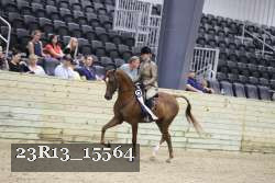 23R13_15564 proof