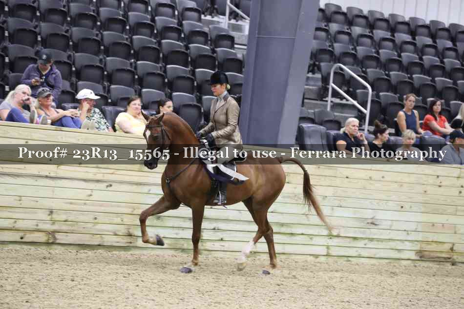 Proof 23R13_15565