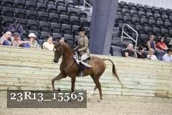 23R13_15565 proof
