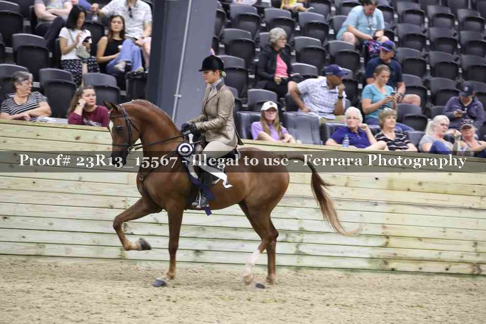 Proof 23R13_15567
