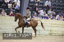 23R13_15567 proof