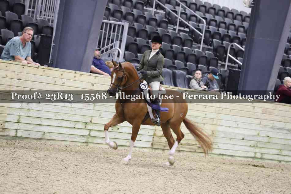 Proof 23R13_15568