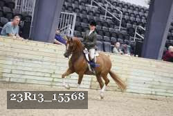 23R13_15568 proof