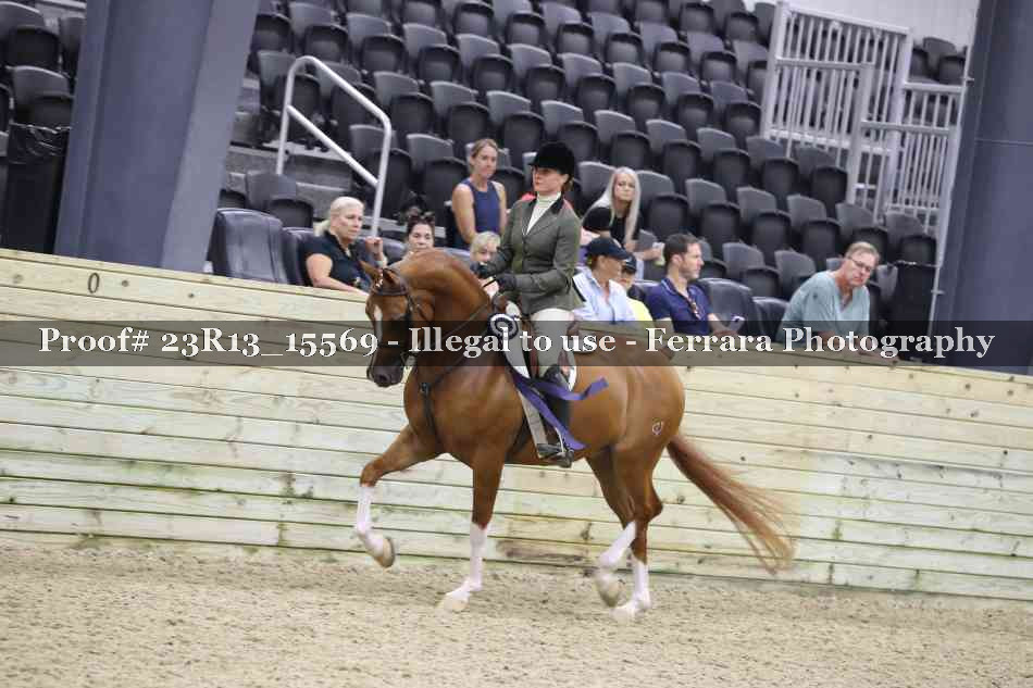 Proof 23R13_15569