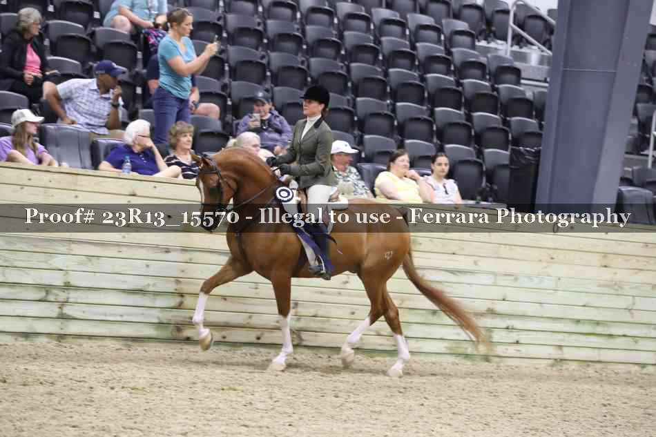 Proof 23R13_15570