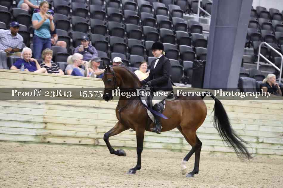 Proof 23R13_15575