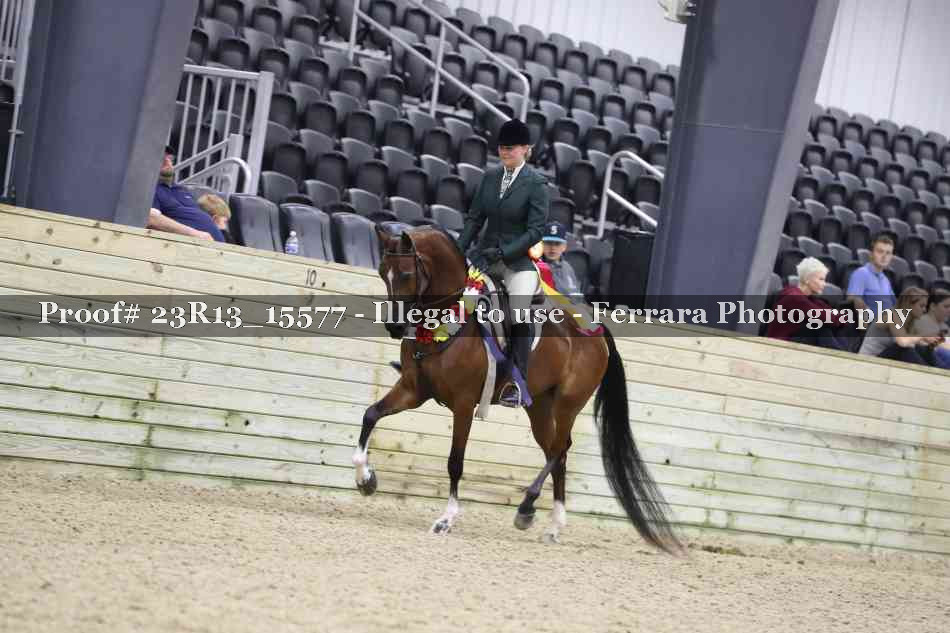 Proof 23R13_15577