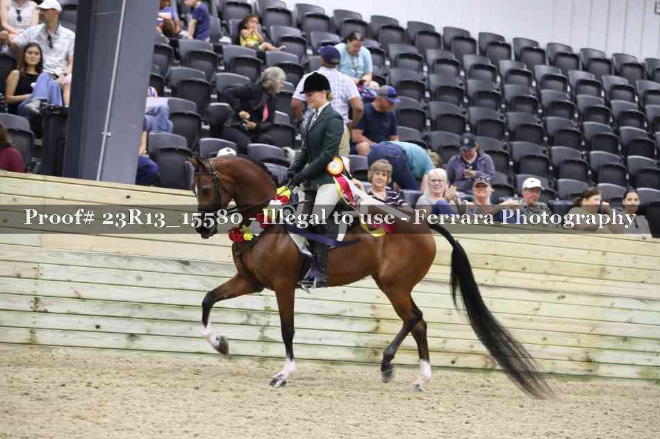 Proof 23R13_15580