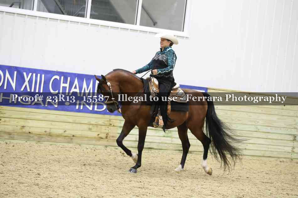 Proof 23R13_15587