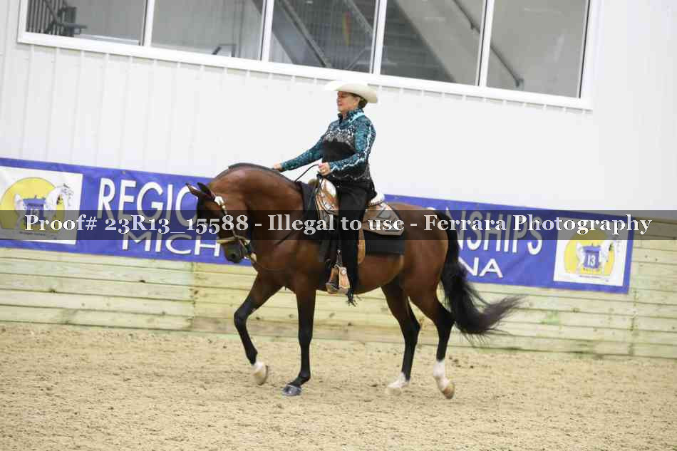 Proof 23R13_15588