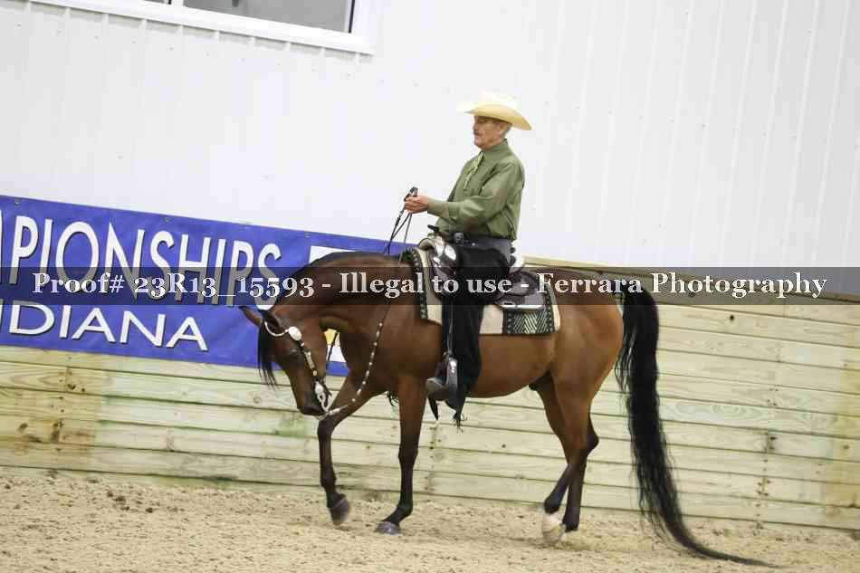 Proof 23R13_15593