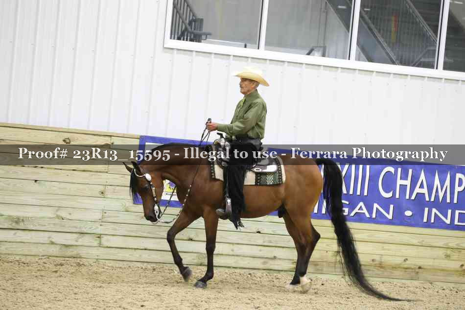 Proof 23R13_15595