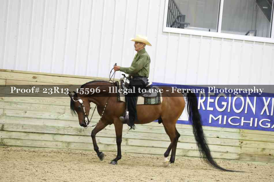 Proof 23R13_15596