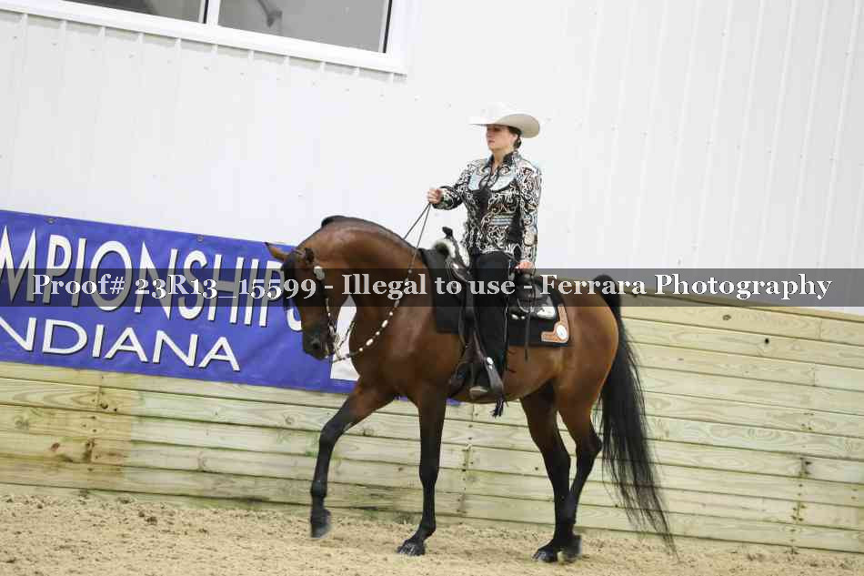 Proof 23R13_15599