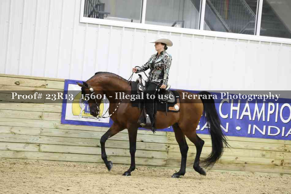 Proof 23R13_15601