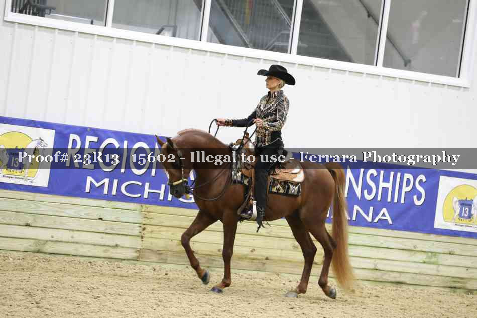 Proof 23R13_15602