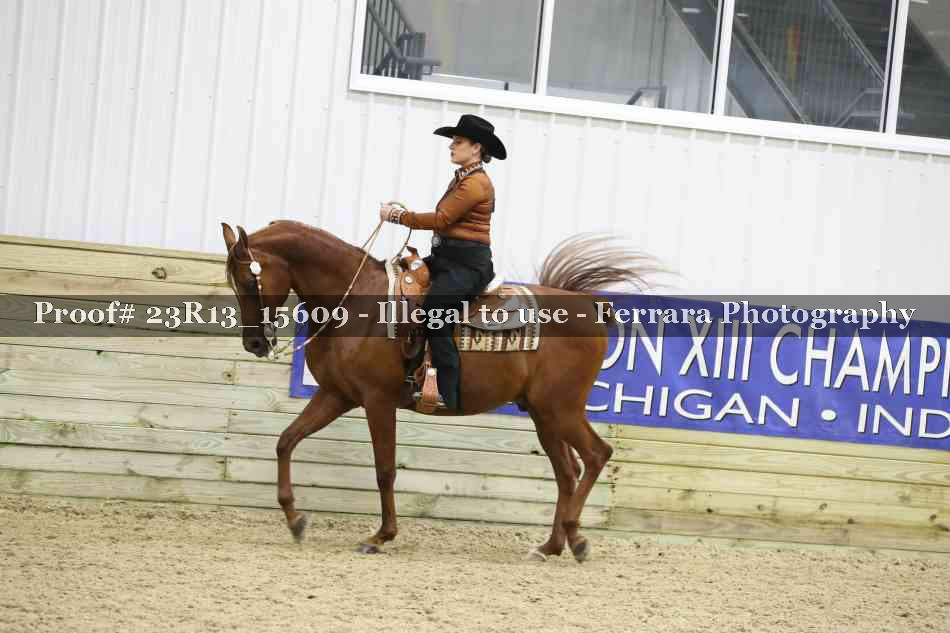 Proof 23R13_15609