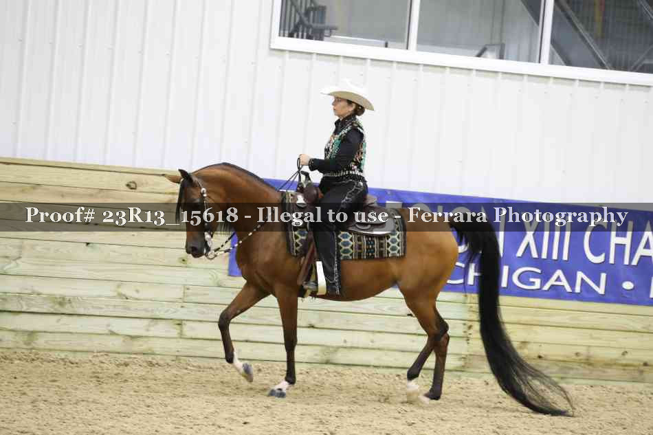 Proof 23R13_15618