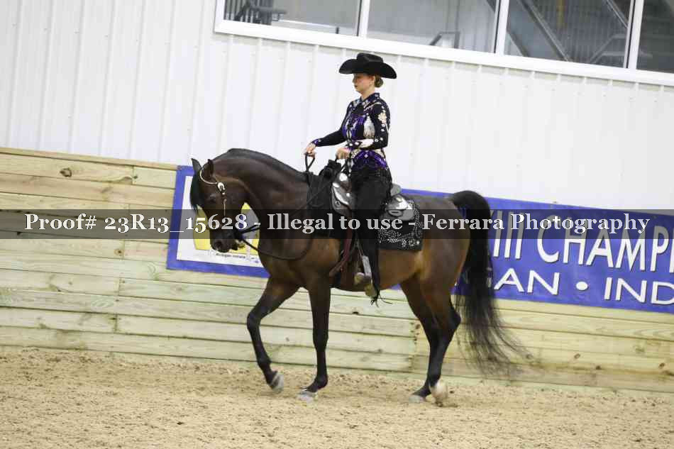 Proof 23R13_15628