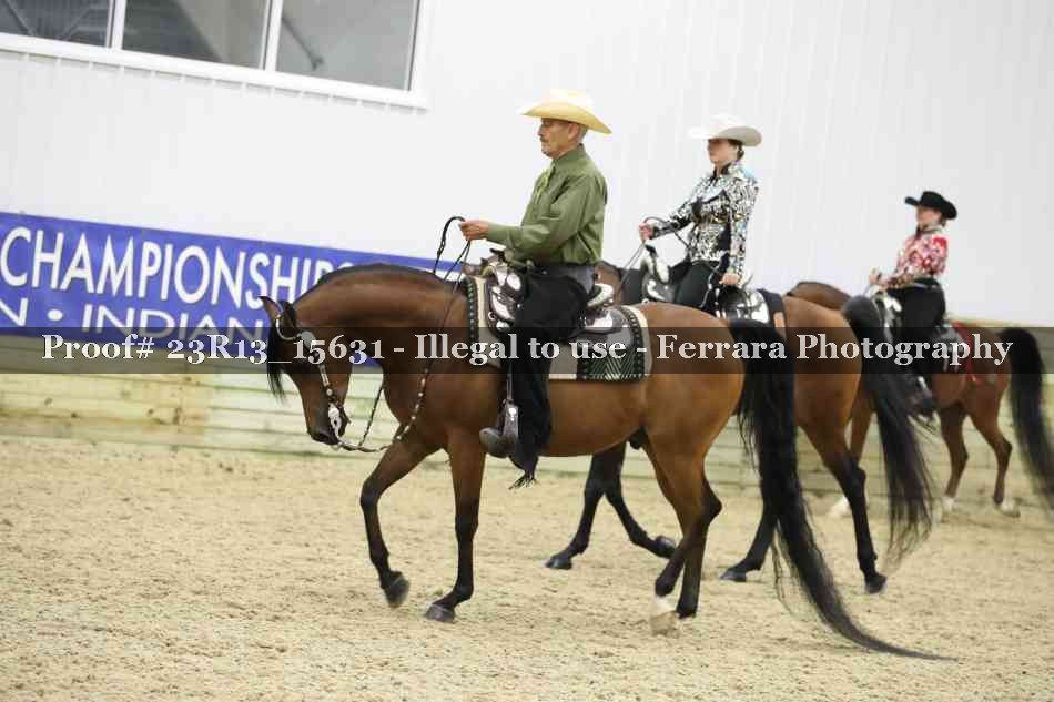 Proof 23R13_15631