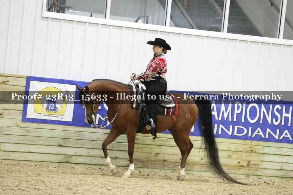 Proof 23R13_15633