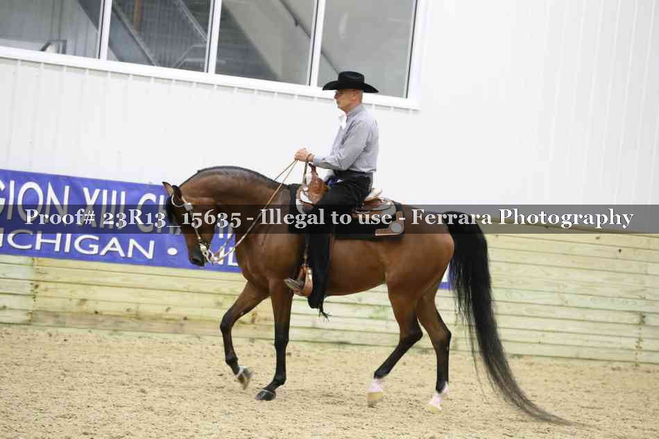 Proof 23R13_15635