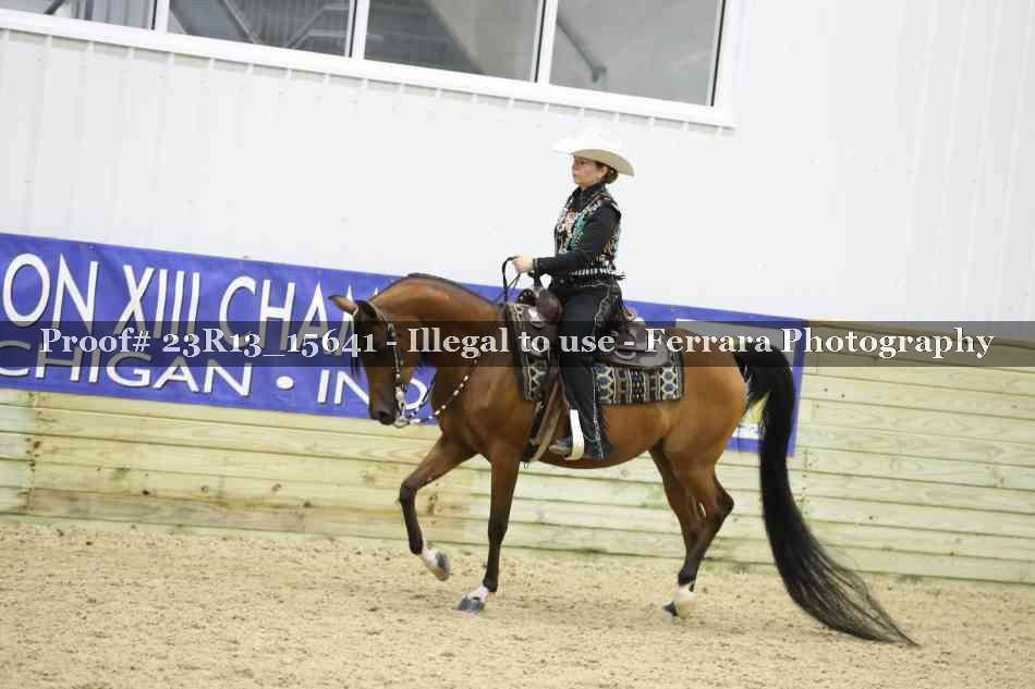 Proof 23R13_15641