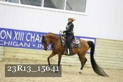 23R13_15641 proof