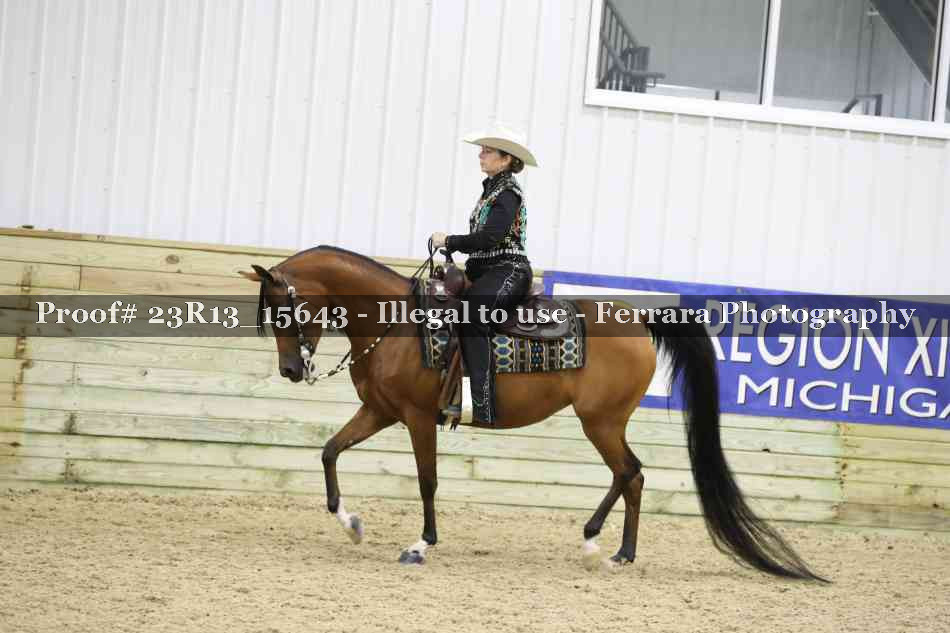 Proof 23R13_15643