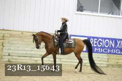 23R13_15643 proof
