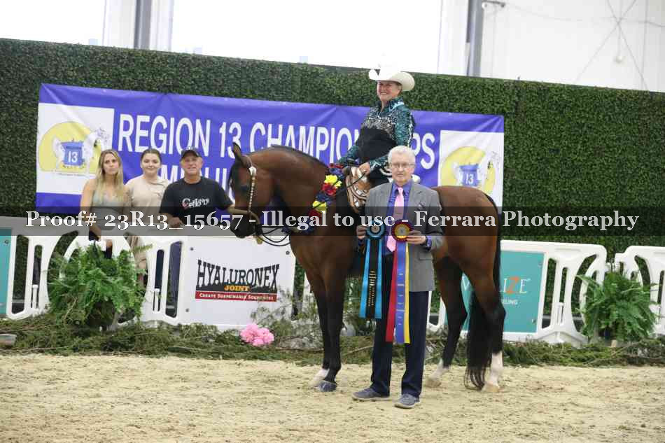 Proof 23R13_15657