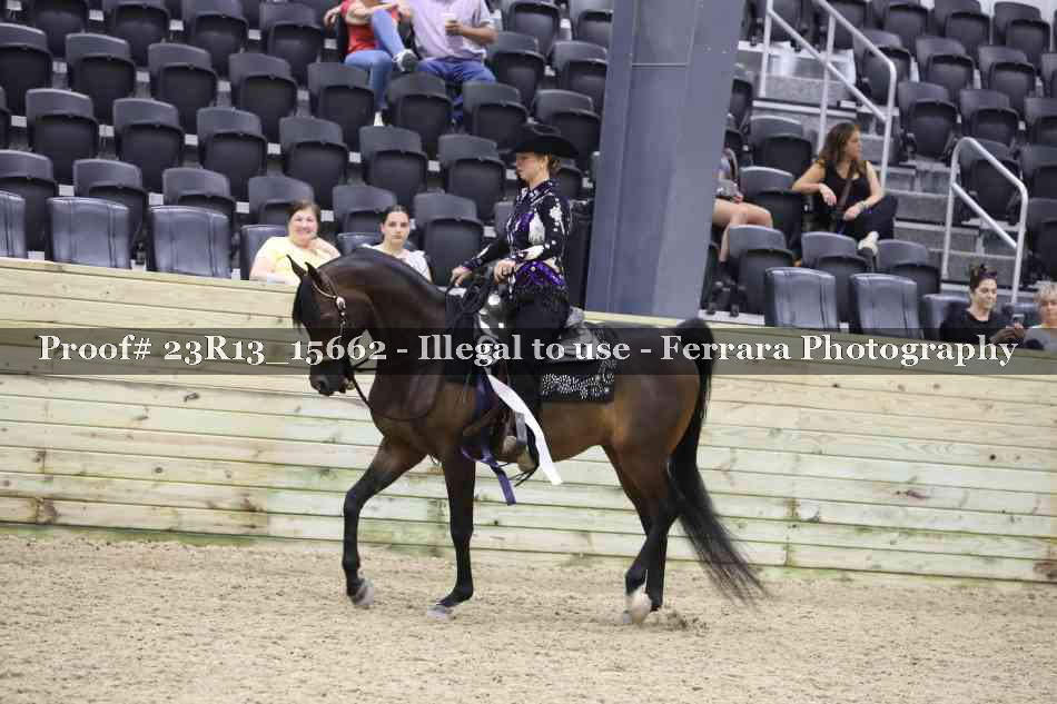 Proof 23R13_15662
