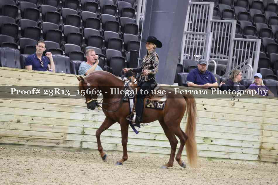 Proof 23R13_15663