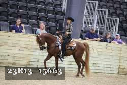 23R13_15663 proof