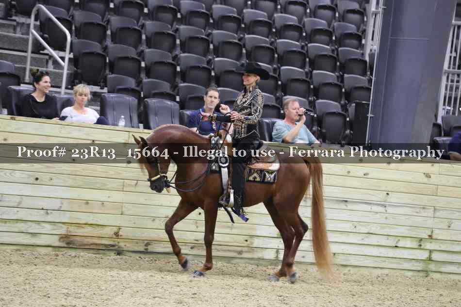 Proof 23R13_15664