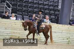 23R13_15664 proof