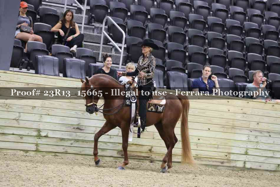 Proof 23R13_15665