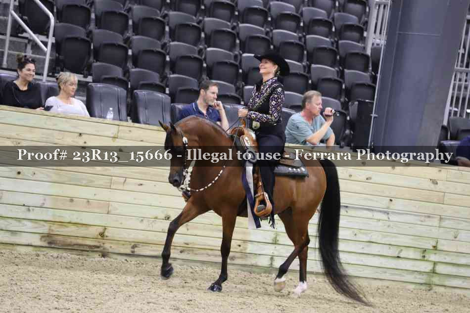 Proof 23R13_15666