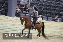 23R13_15667 proof
