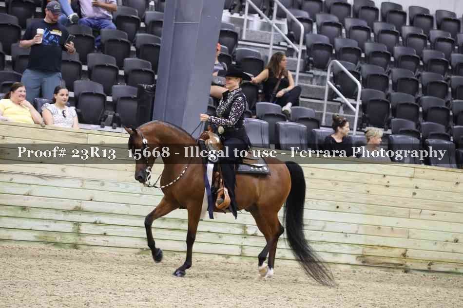 Proof 23R13_15668