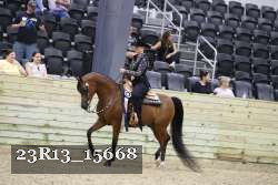 23R13_15668 proof