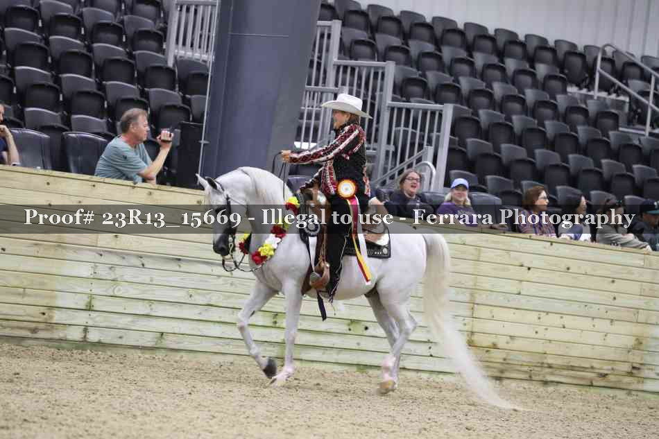 Proof 23R13_15669