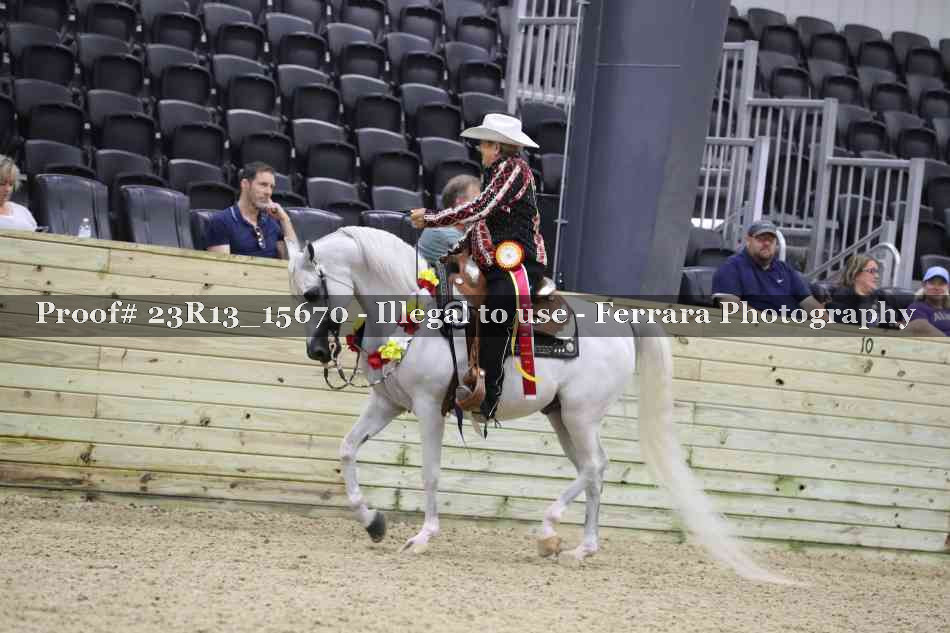 Proof 23R13_15670